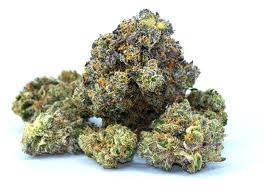buy northern lights weed online