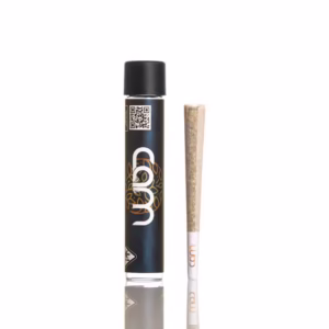 CAM | Cherry Fritter Preroll (1g)