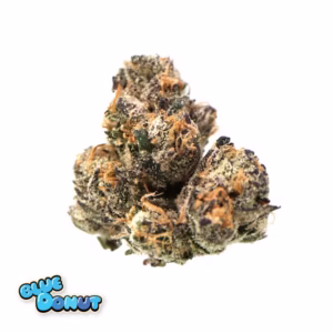 buy Traditional - Blue Donut 3.5g online