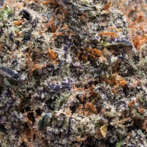 Lizard Burger Quarter | 7g