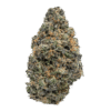buy Sherbanger strain