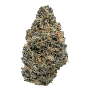 buy Sherbanger strain